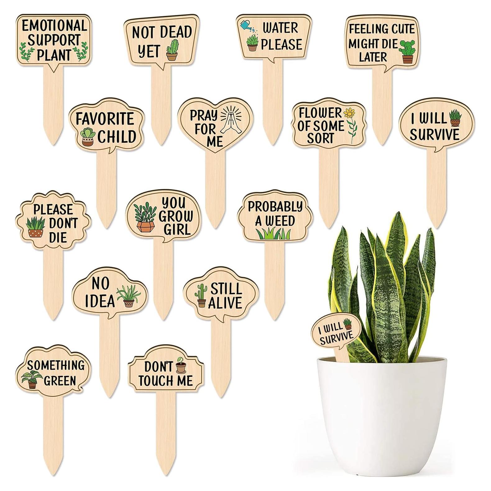 Marcadores de Plantas de Madera Huray Rayho 15-Pack Multicolor