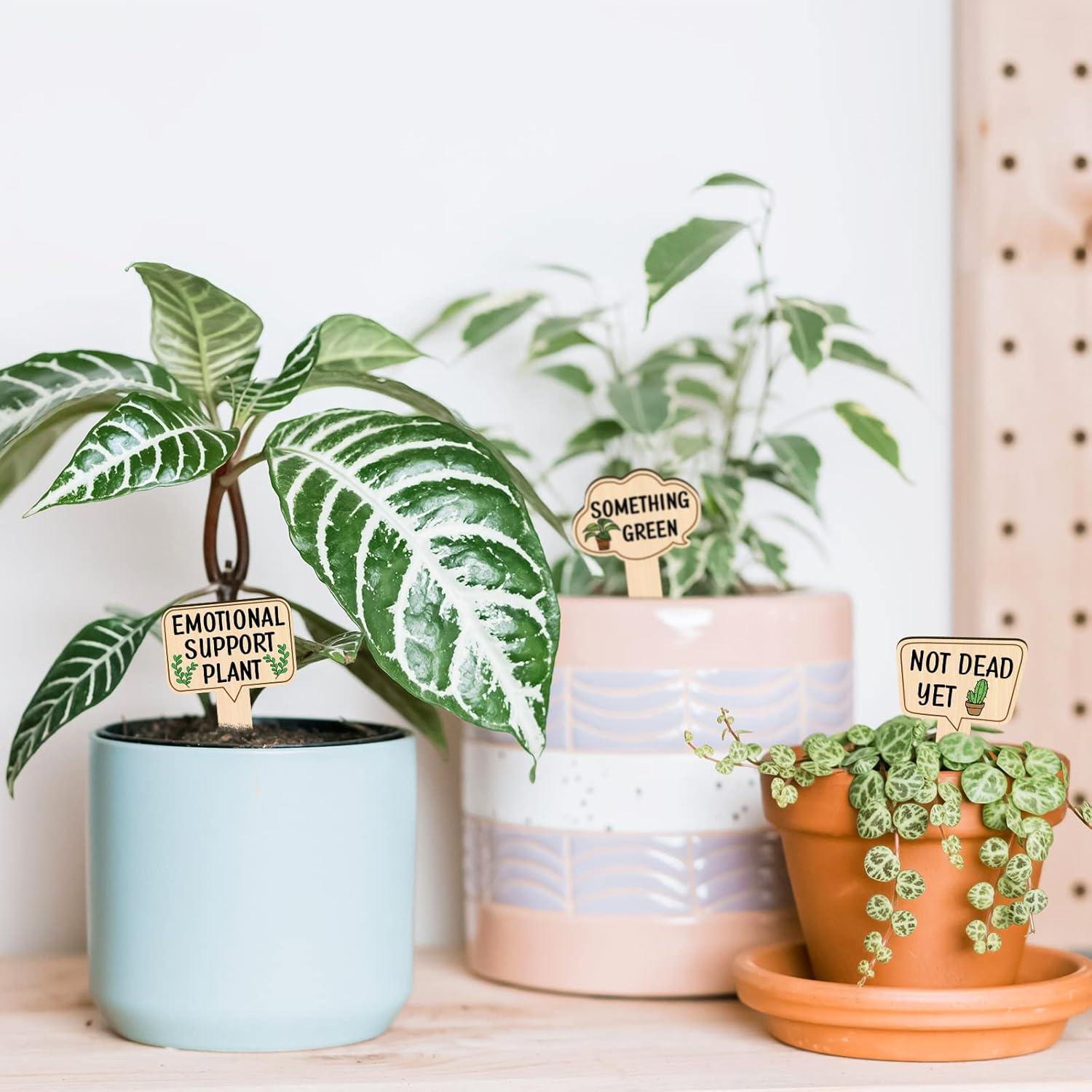 Marcadores de Plantas de Madera Huray Rayho 15-Pack Multicolor