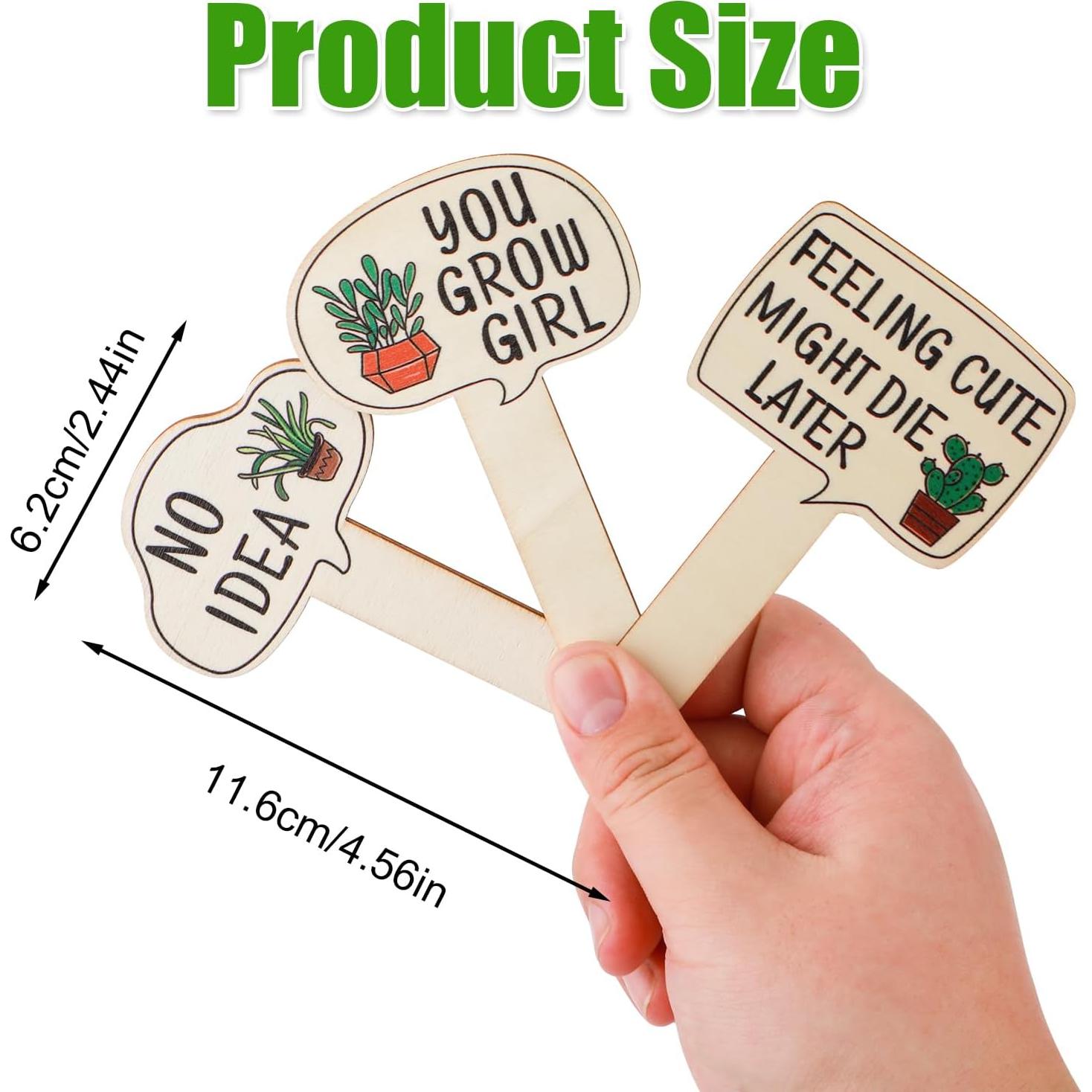 15 Marcadores de Plantas de Madera PEUTIER 11.6x6.2cm