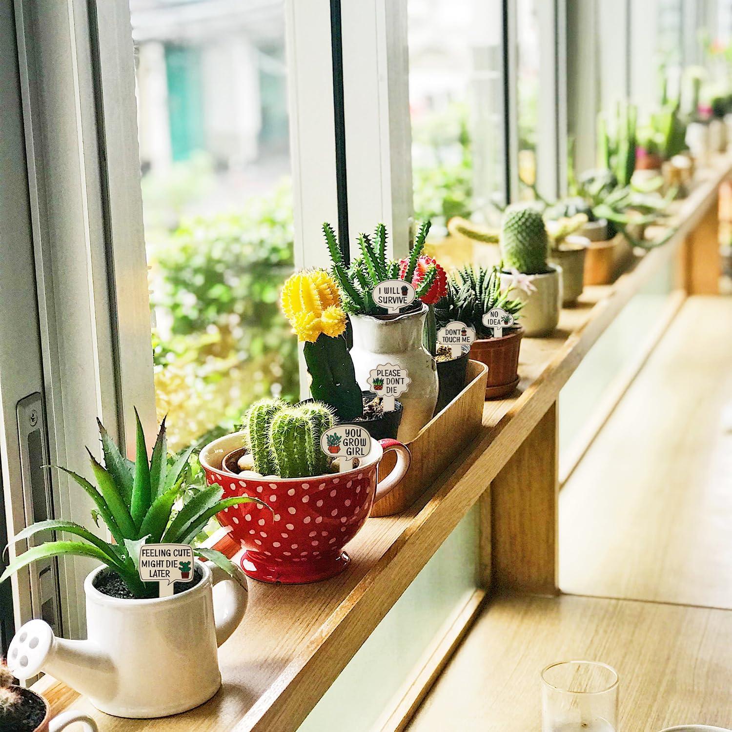 15 Marcadores de Plantas de Madera PEUTIER 11.6x6.2cm