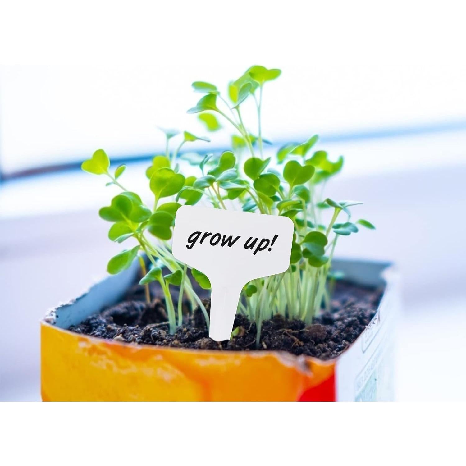 Etiquetas de Jardín KINGLAKE 100 Pcs con Bolígrafo Permanente