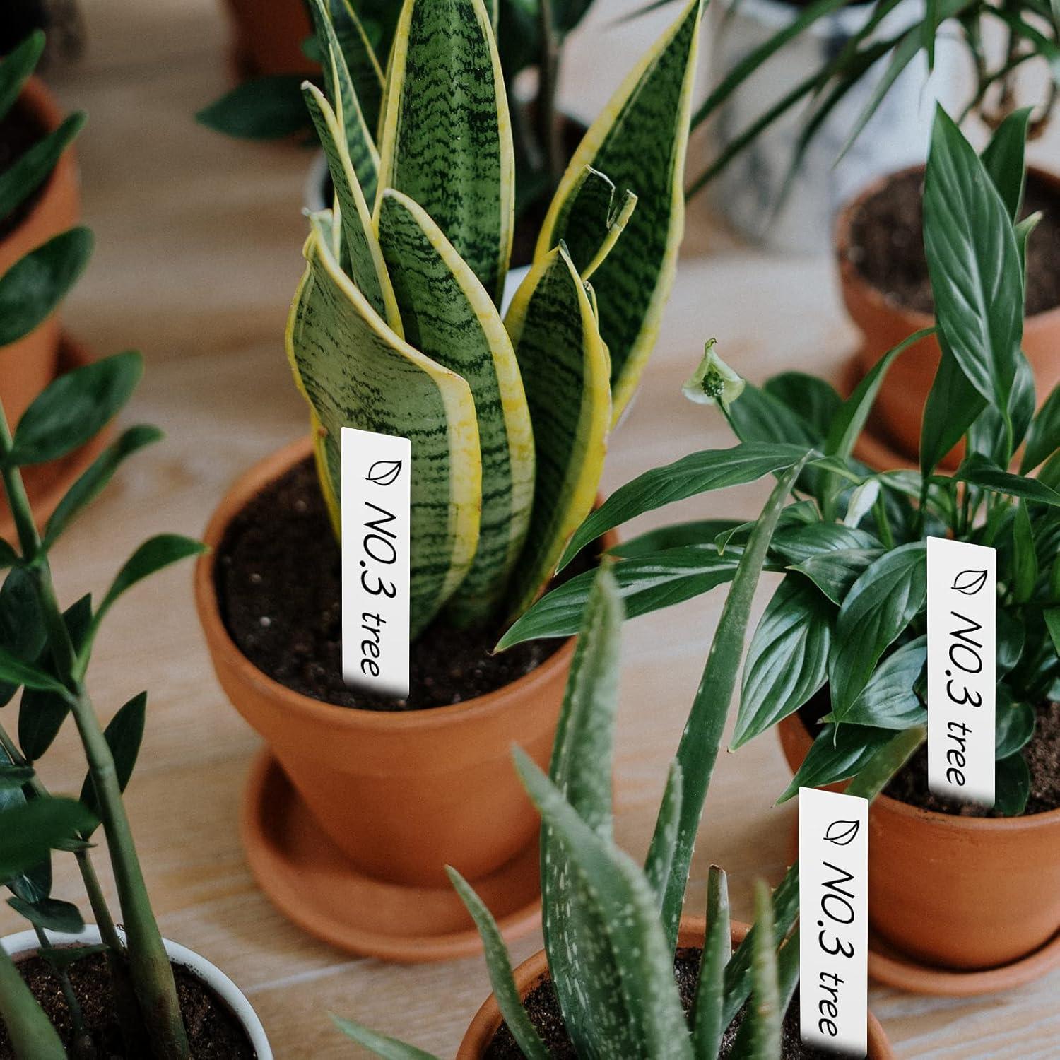 100 Etiquetas de Plantas Blancas AMORNING 10x2cm PVC