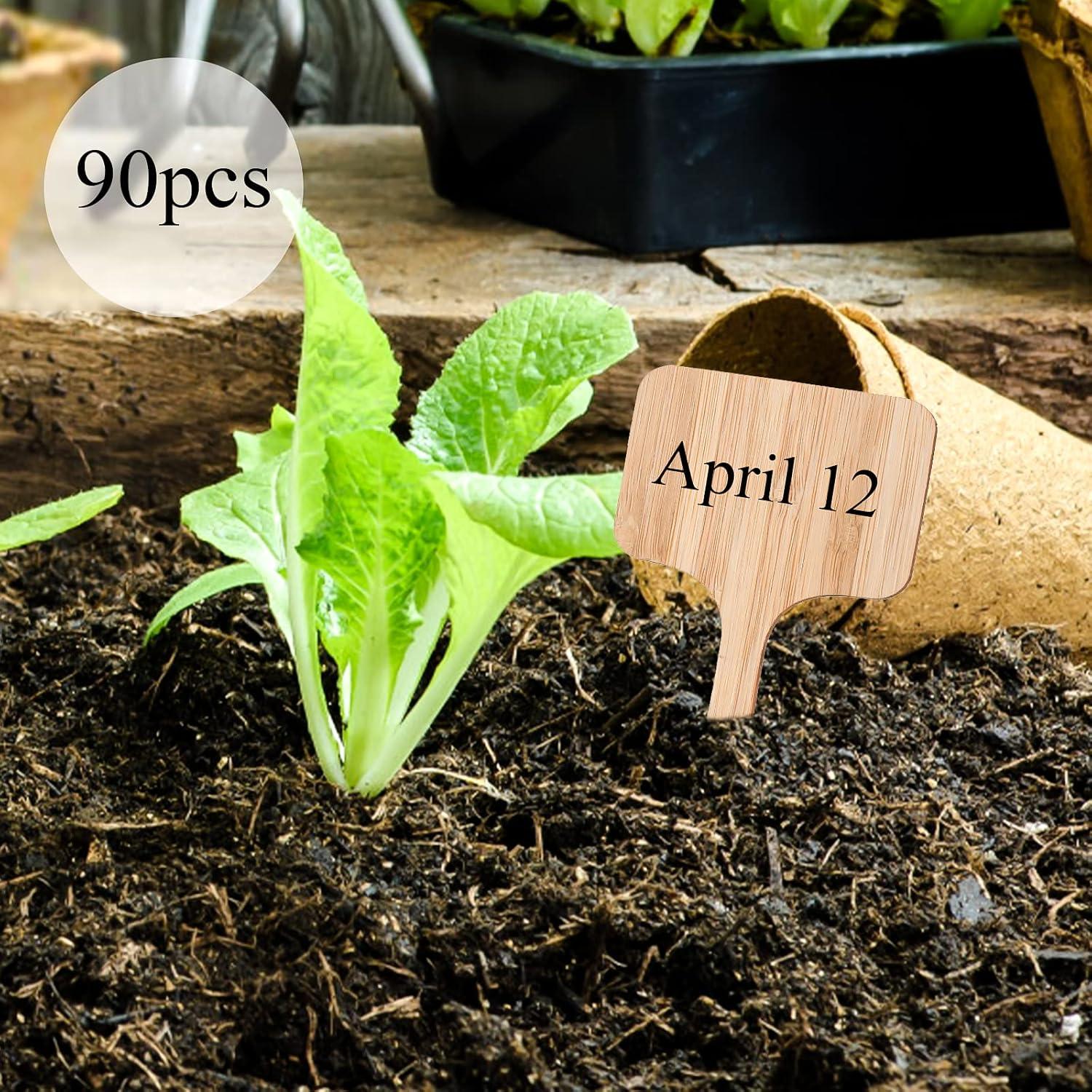 Etiquetas de Plantas de Bambú Elsjoy 90 Piezas 9 Estilos