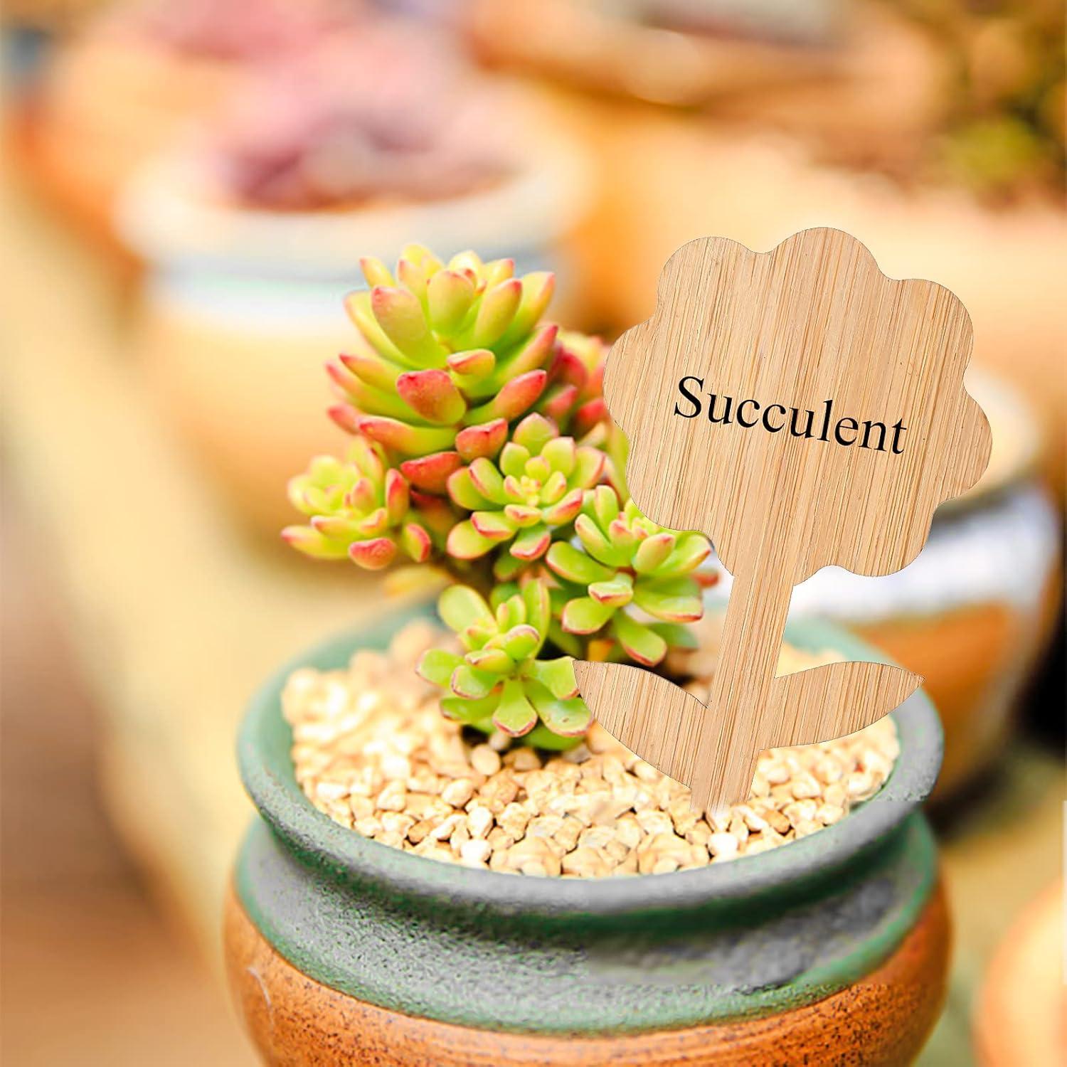 Etiquetas de Plantas de Bambú Elsjoy 90 Piezas 9 Estilos