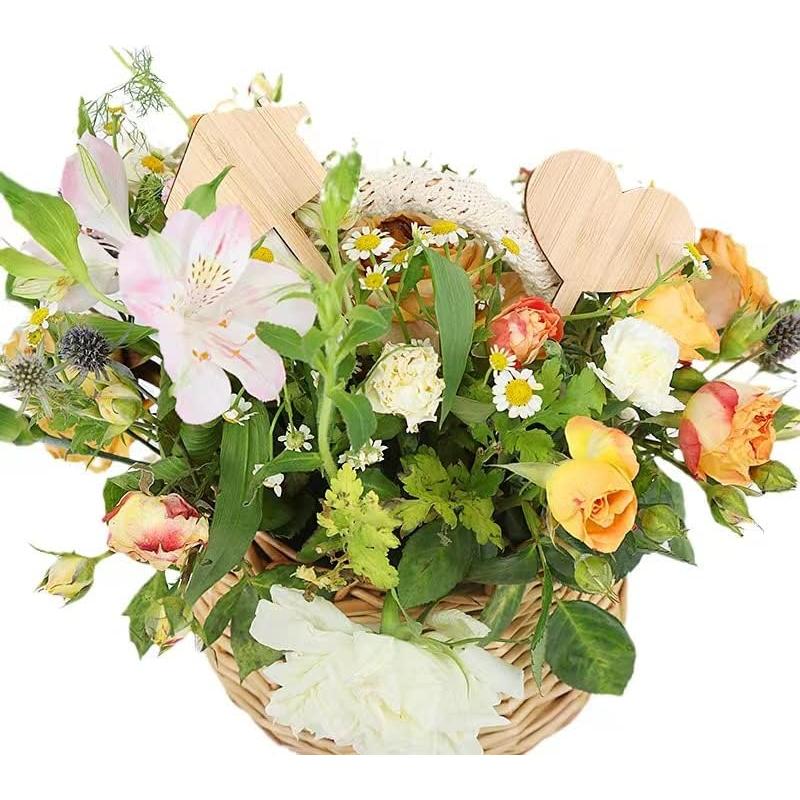 Etiquetas de Plantas de Bambú Elsjoy 90 Piezas 9 Estilos