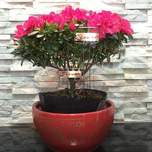 Paquete de 30 Etiquetas de Jardín Ugold de Cobre 25.4x6.6 cm