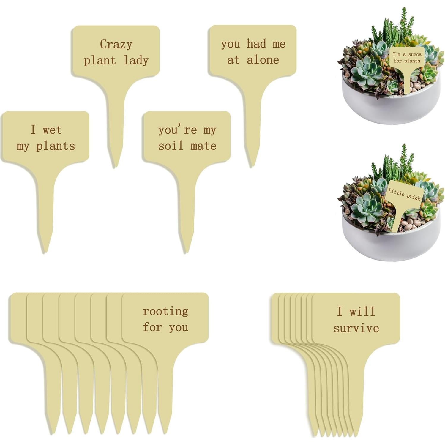 Paquete de 12 Etiquetas de Madera para Plantas YiLiiod