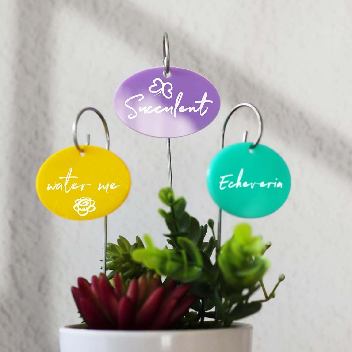 Etiquetas para Plantas Temlum 25 Pcs Multicolor Jardín