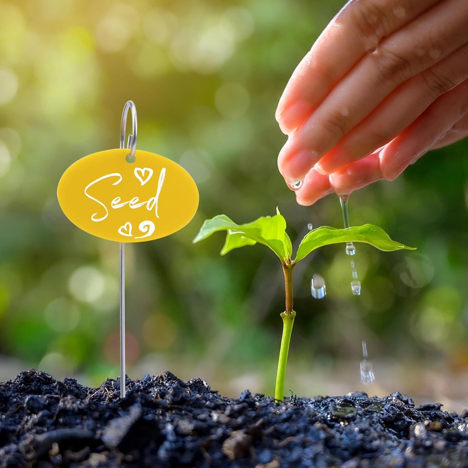 Etiquetas para Plantas Temlum 25 Pcs Multicolor Jardín