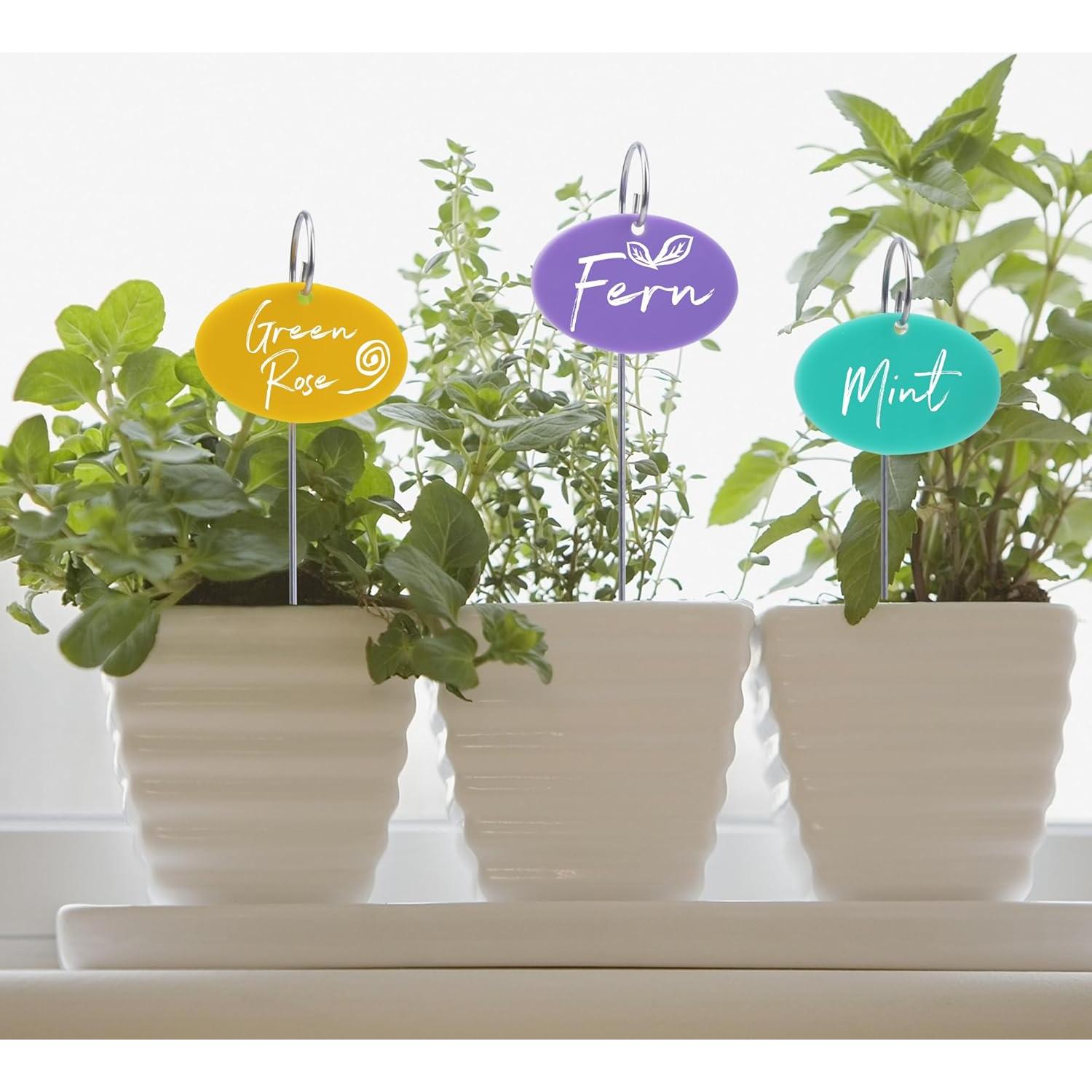 Etiquetas para Plantas Temlum 25 Pcs Multicolor Jardín