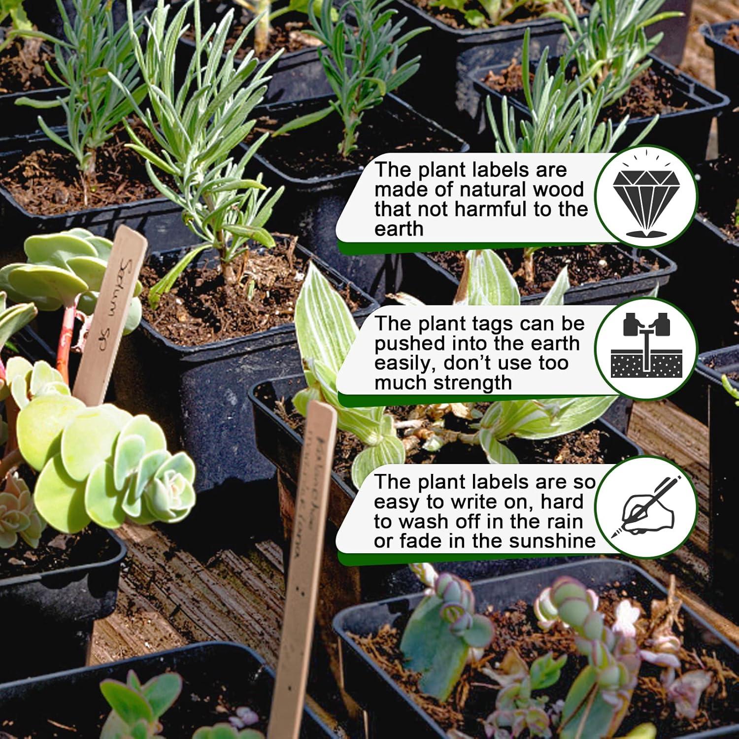 Etiquetas de Madera para Plantas Zkptops 50 Pcs 15.24 cm