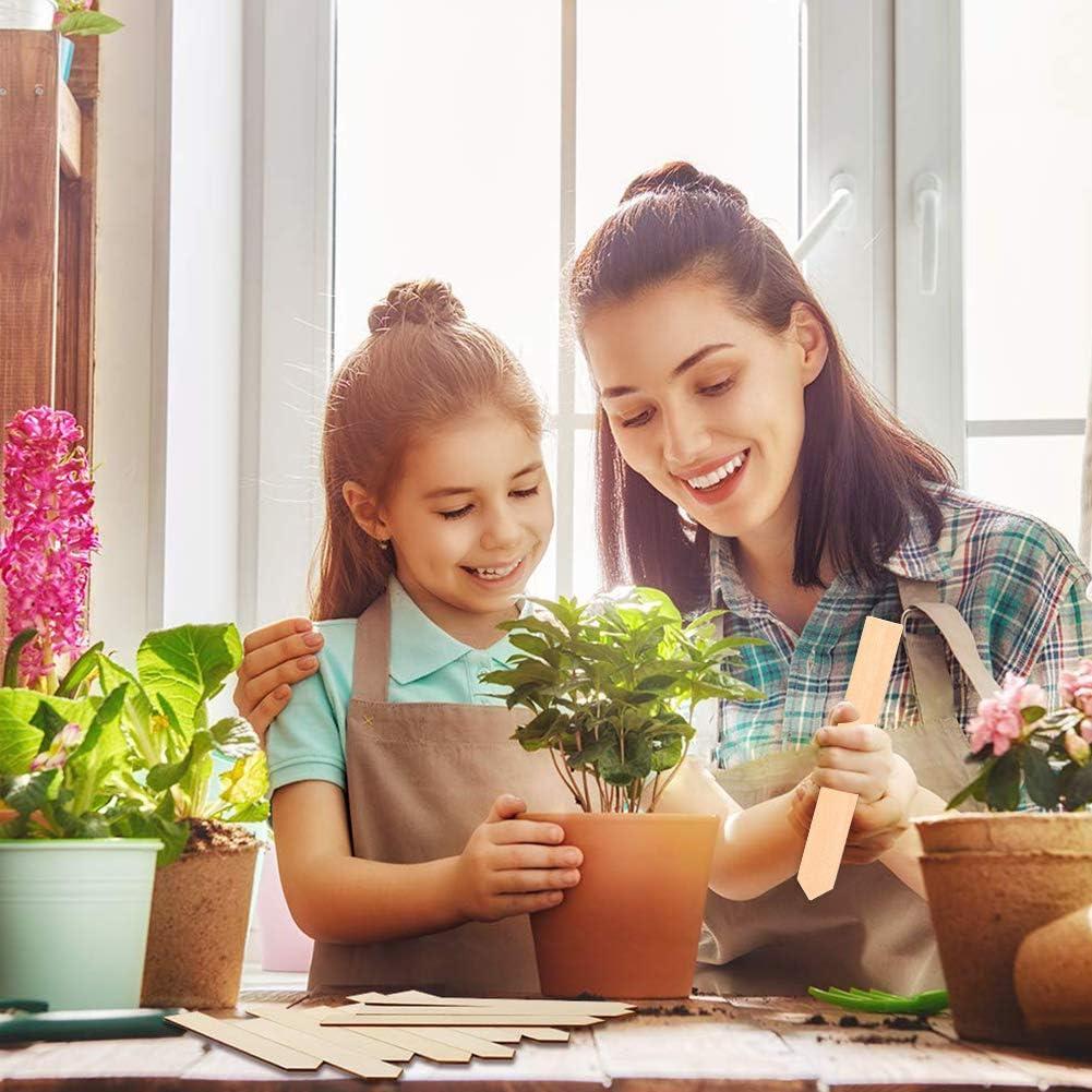 Etiquetas de Madera para Plantas Zkptops 50 Pcs 15.24 cm