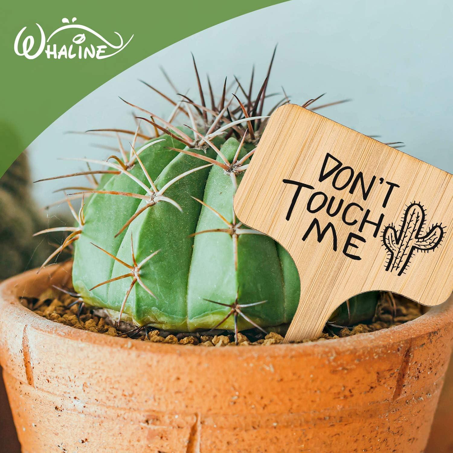 Etiquetas de Plantas de Bambú Whaline 30 Pcs con Bolígrafo