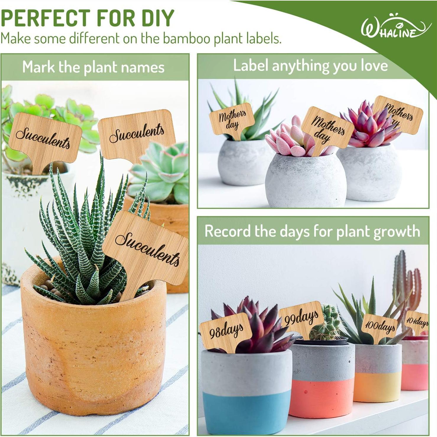 Etiquetas de Plantas de Bambú Whaline 30 Pcs con Bolígrafo