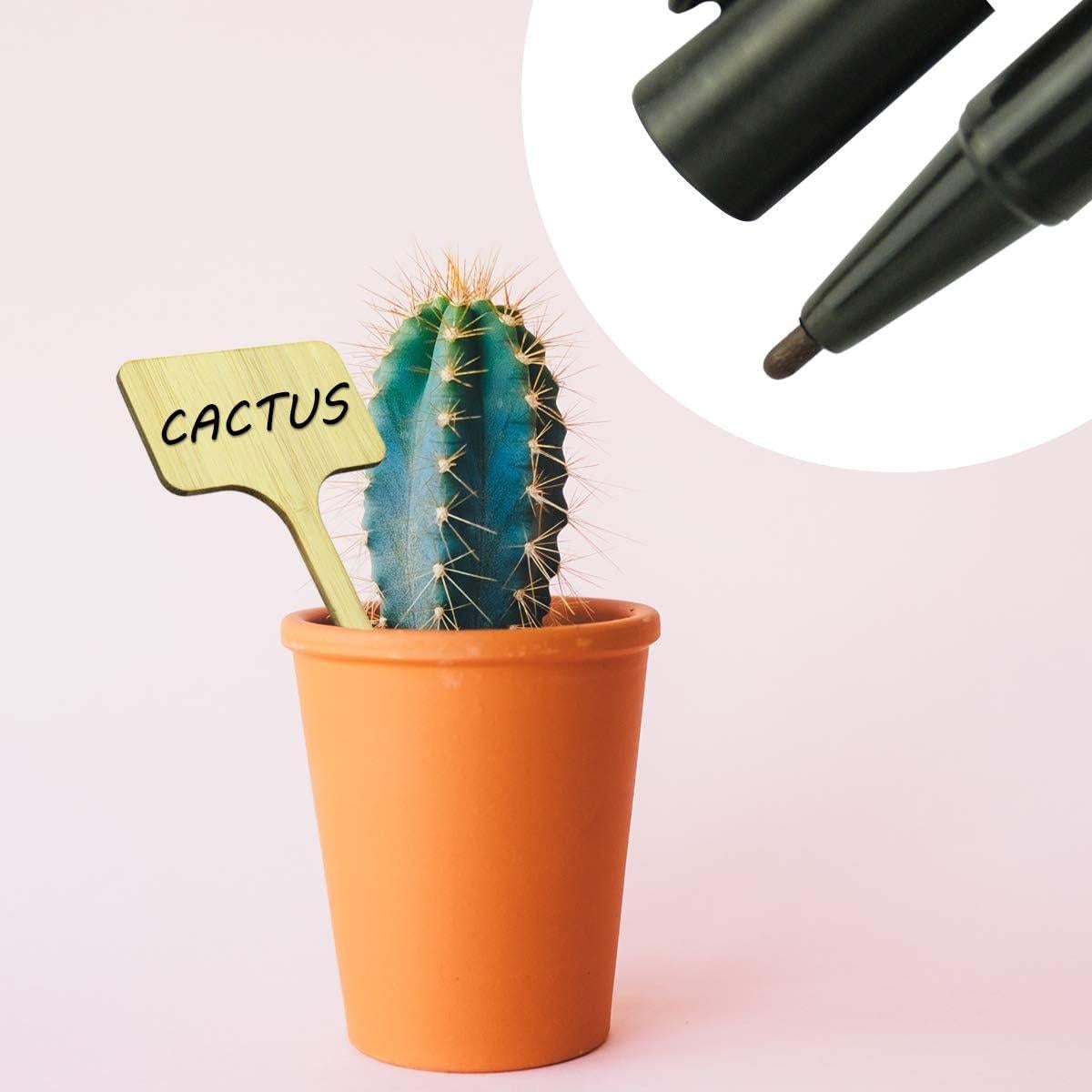 Etiquetas de Planta de Bambú YXGOOD 50 Pcs 9.9x6.1 cm