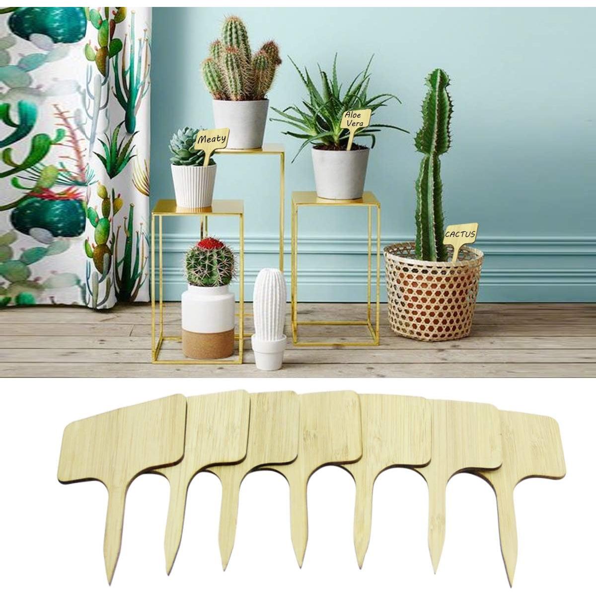 Etiquetas de Planta de Bambú YXGOOD 50 Pcs 9.9x6.1 cm