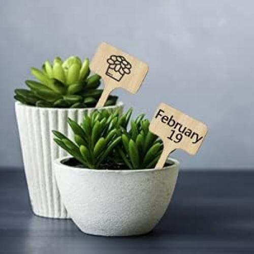 Etiquetas de Planta de Bambú YXGOOD 50 Pcs 9.9x6.1 cm