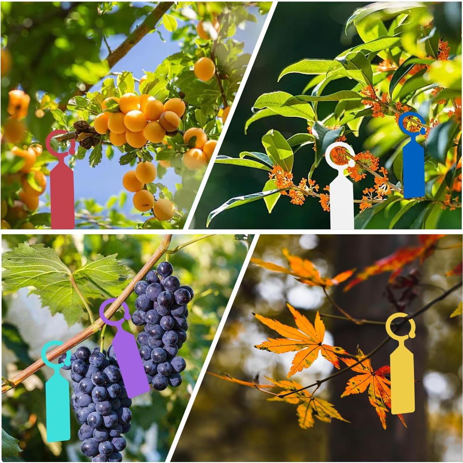 Etiquetas de Jardín Yuanling 100 Pcs Plástico Impermeable