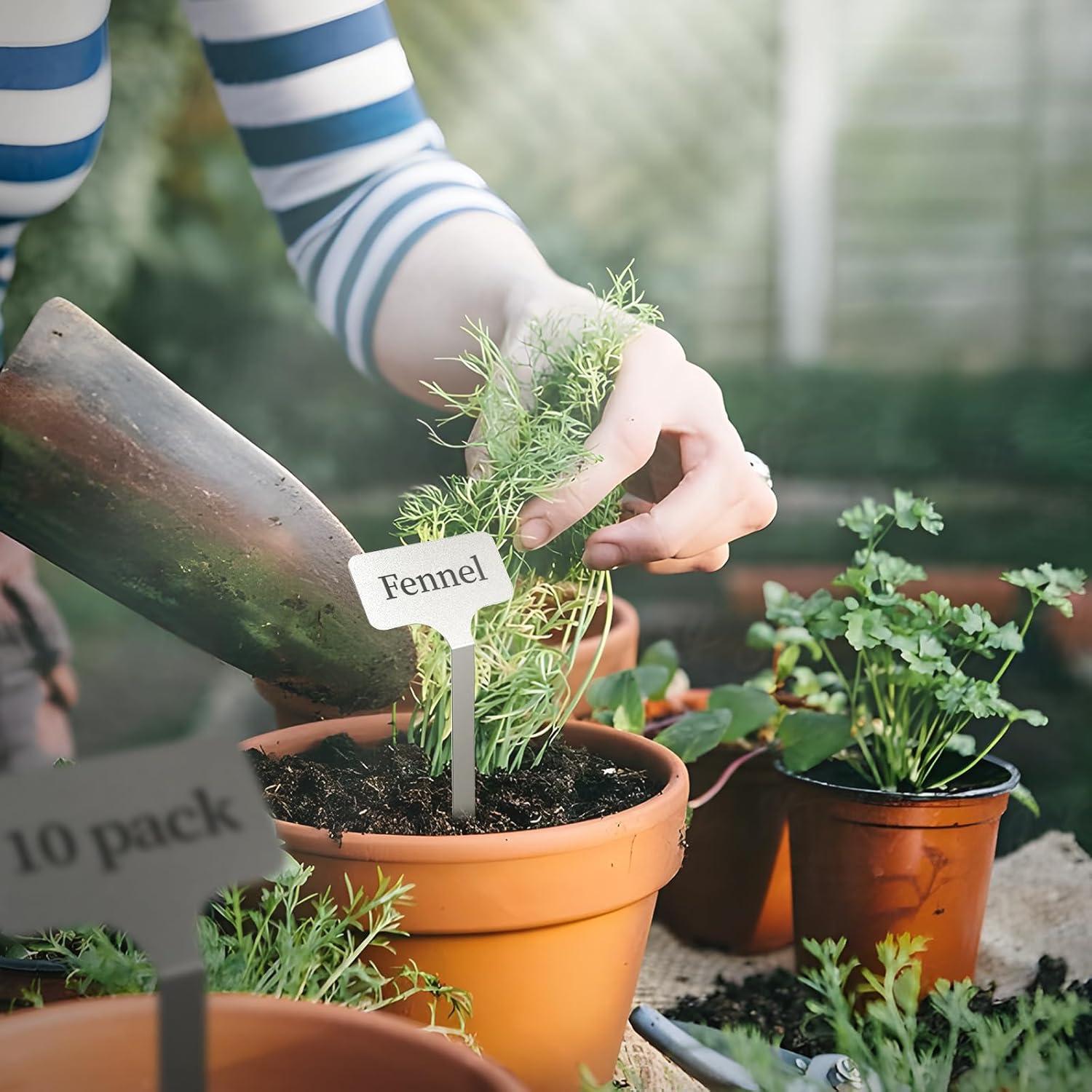 Etiquetas de Planta de Acero Inoxidable KNLLFolan - 20 Unidades