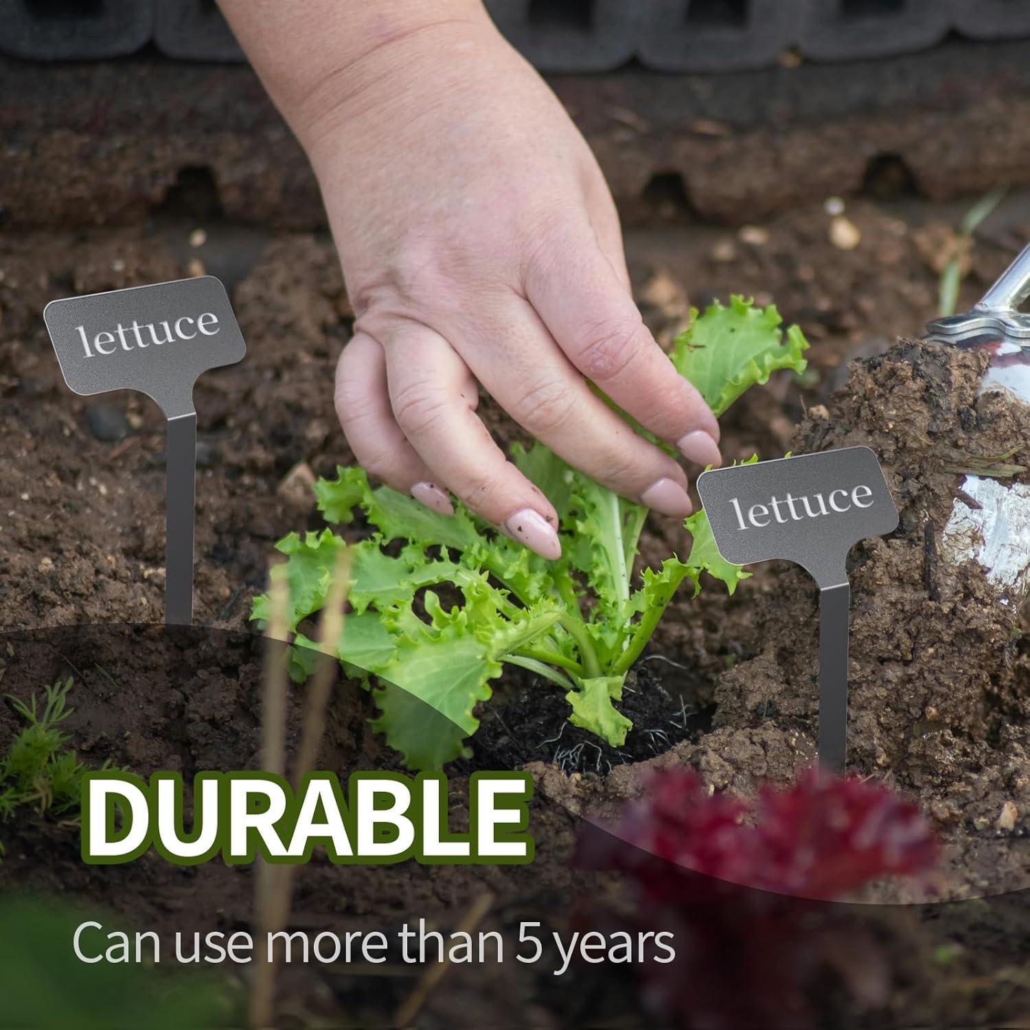 Etiquetas de Planta de Acero Inoxidable KNLLFolan - 20 Unidades