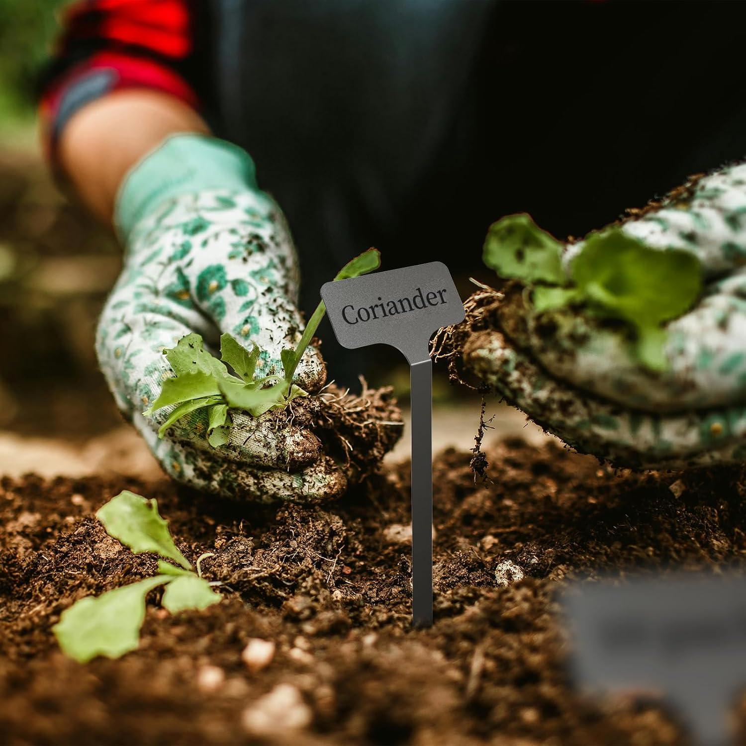 Etiquetas de Planta de Acero Inoxidable KNLLFolan - 20 Unidades