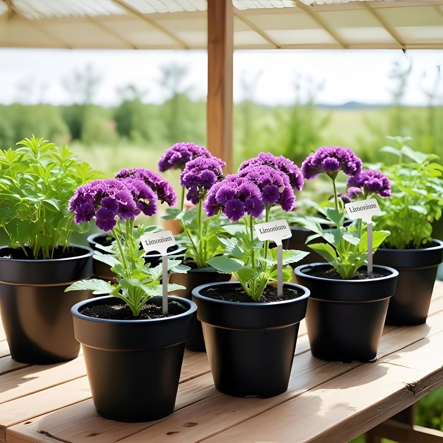 Etiquetas de Planta de Acero Inoxidable KNLLFolan - 20 Unidades