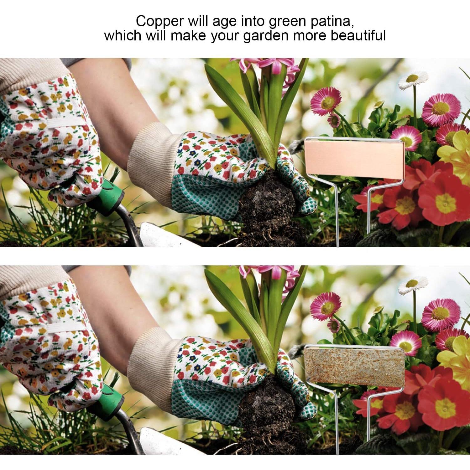 25 Etiquetas de Cobre para Plantas Wanapure 10" Resistentes