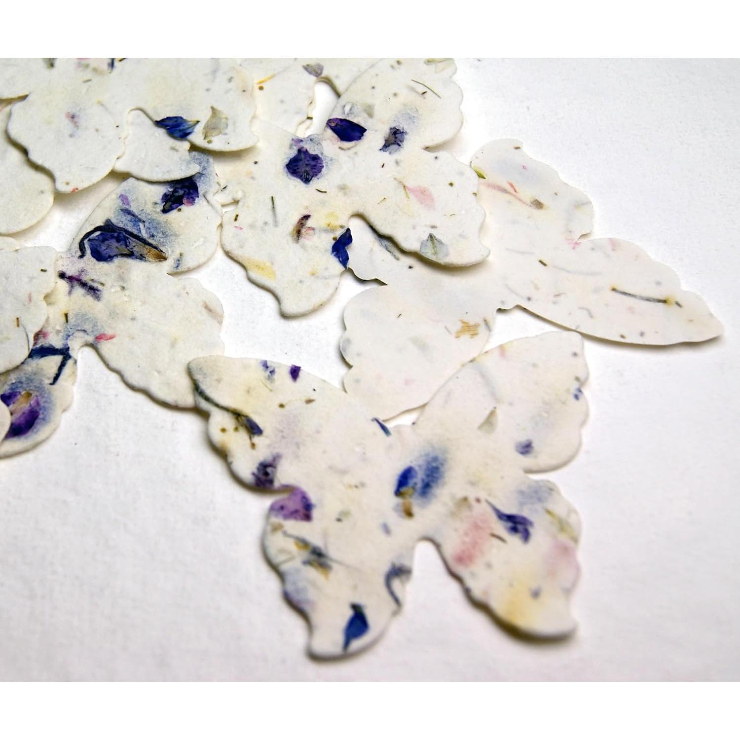 Papel de Semillas de Flores Silvestres Mariposa Of The Earth - Set de 24