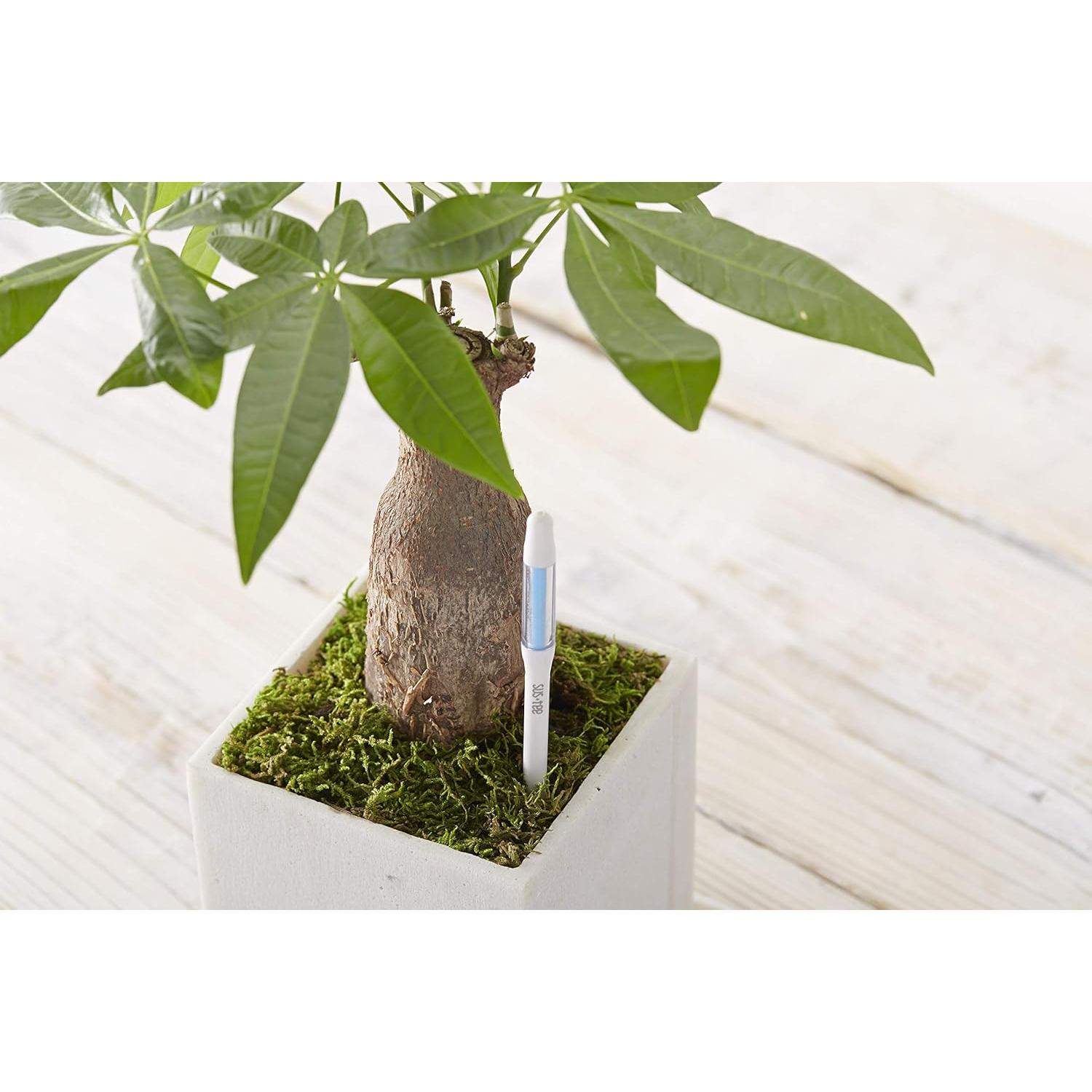 Set de 5 Sensores de Humedad SUSTEE para Plantas - Blanco