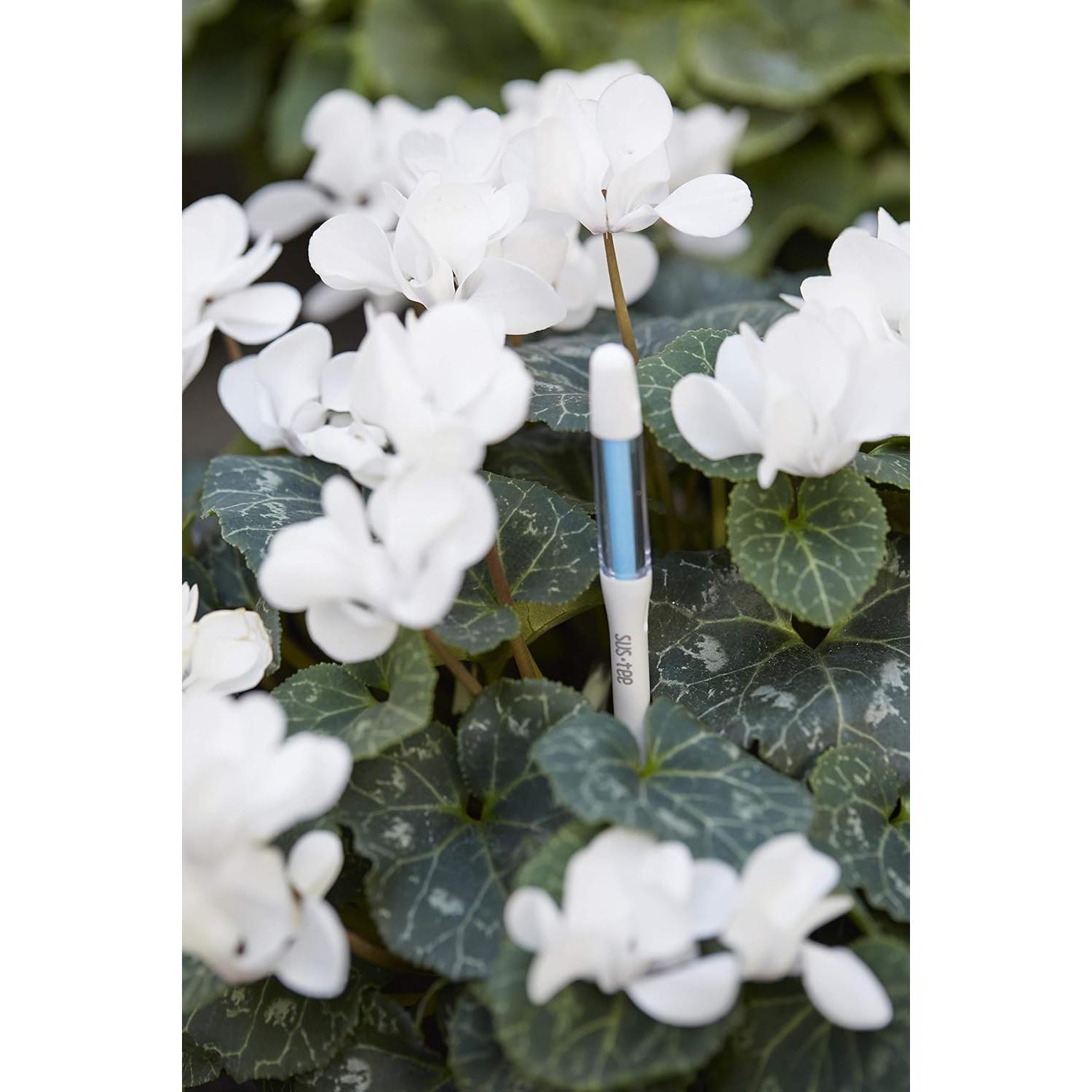 Set de 5 Sensores de Humedad SUSTEE para Plantas - Blanco