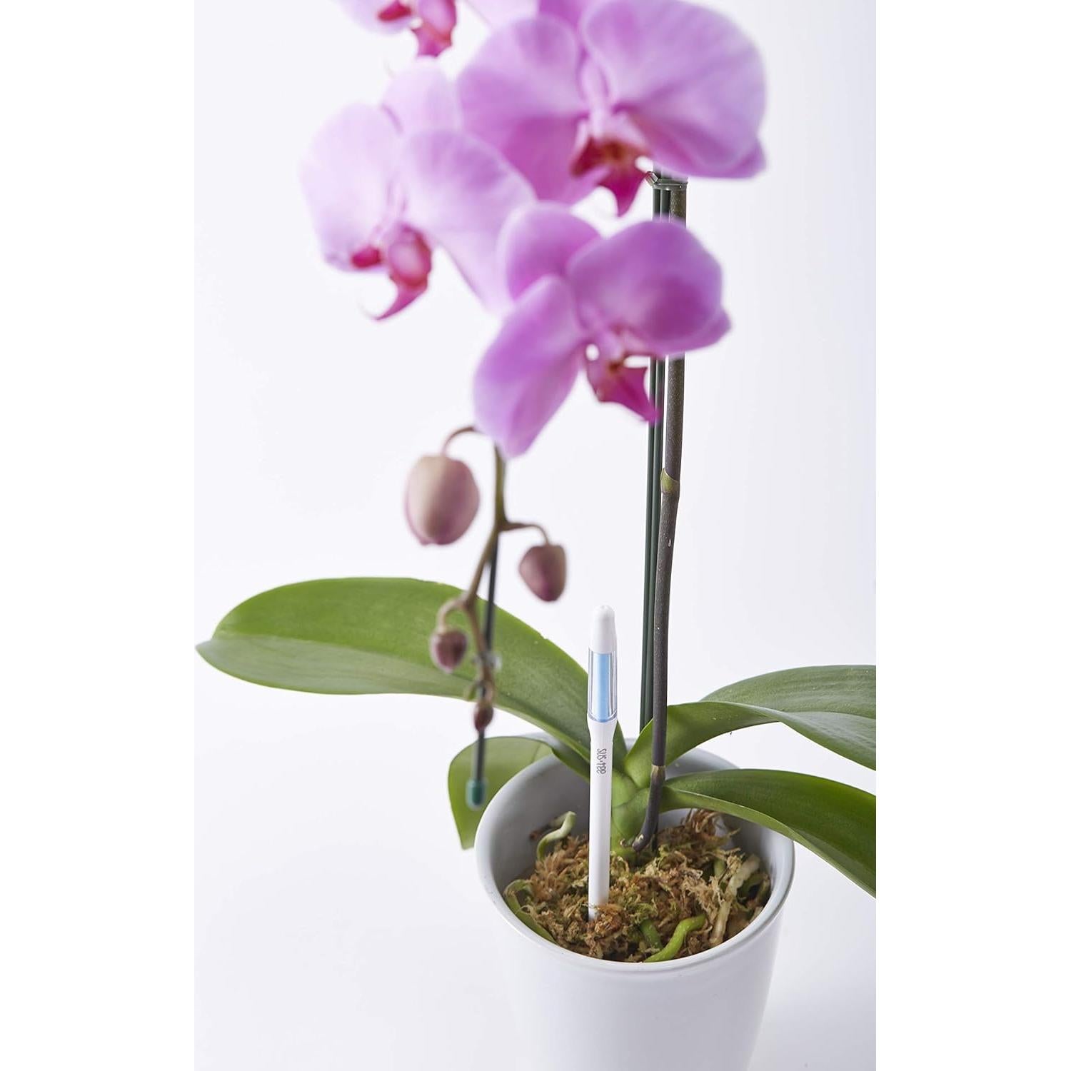 Set de 5 Sensores de Humedad SUSTEE para Plantas - Blanco