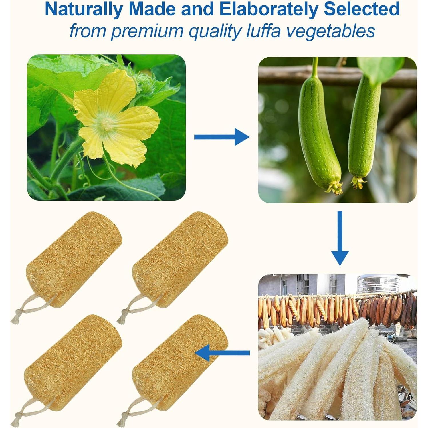 Esponjas de Lufa Natural AhaTopia - 4 Paquetes de 15 cm