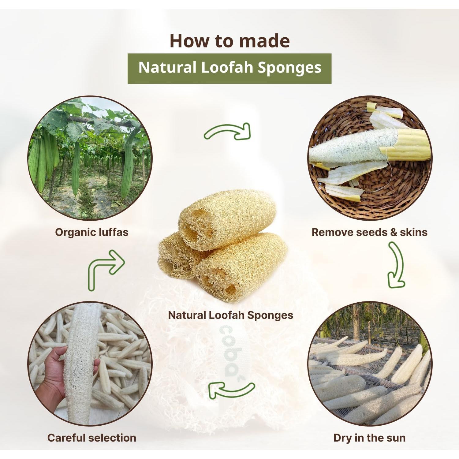 Esponja de Lufa Natural Coba Straws - Exfoliante Biodegradable 4 Unidades