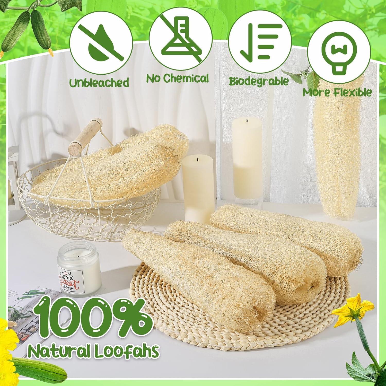 Esponjas de Lufa Natural ZhouBoat 30 cm Paquete de 6 Unidades