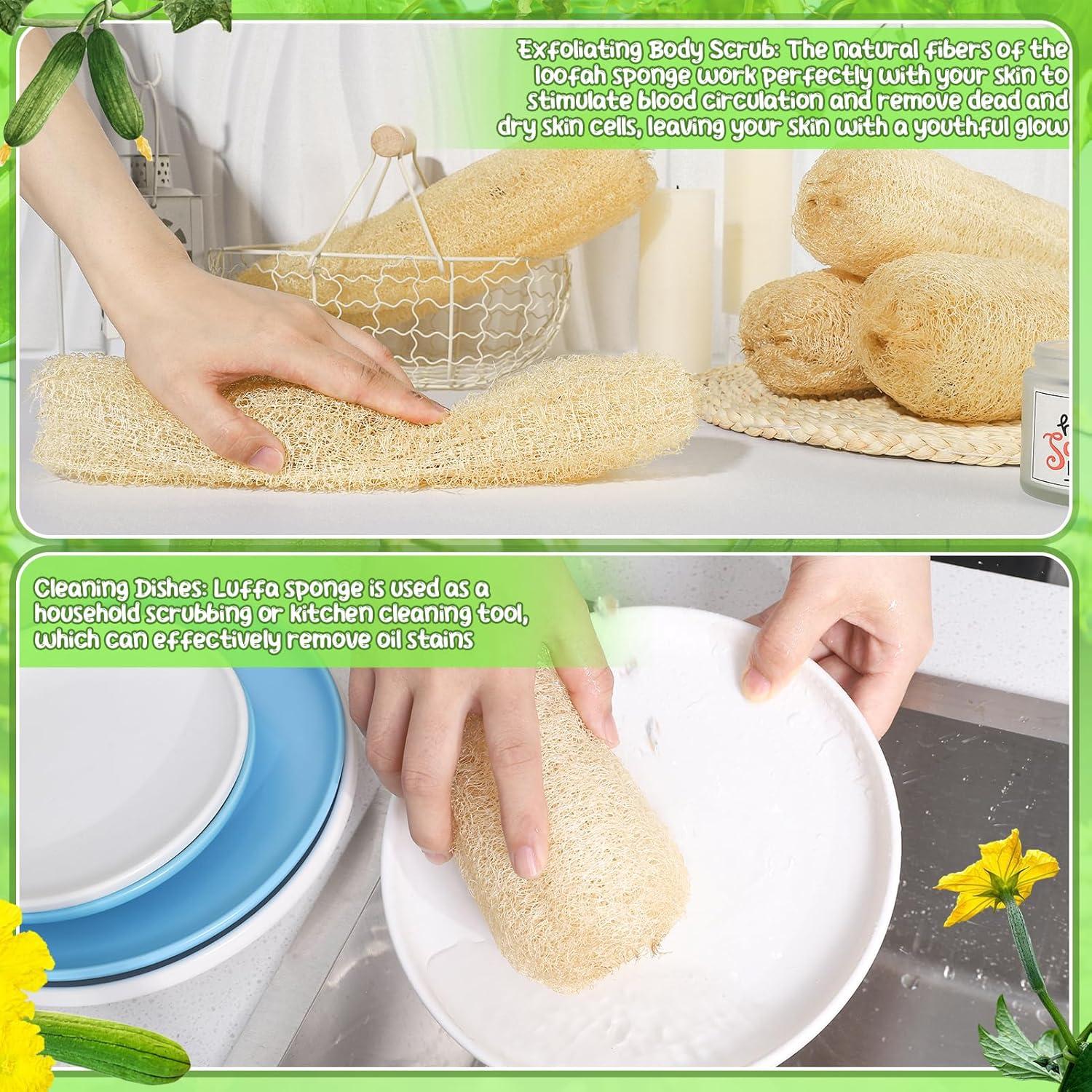 Esponjas de Lufa Natural ZhouBoat 30 cm Paquete de 6 Unidades