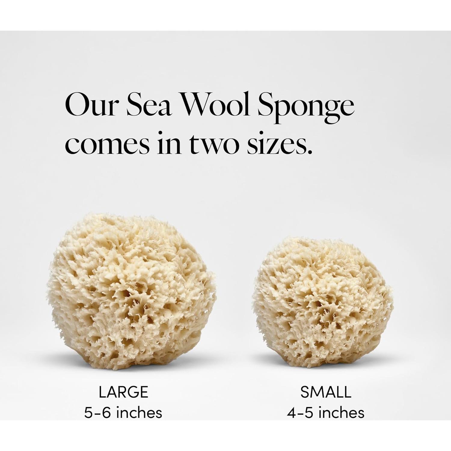 Esponja de Mar Natural LATHER 12.7-15.2 cm Exfoliante Hipoalergénica