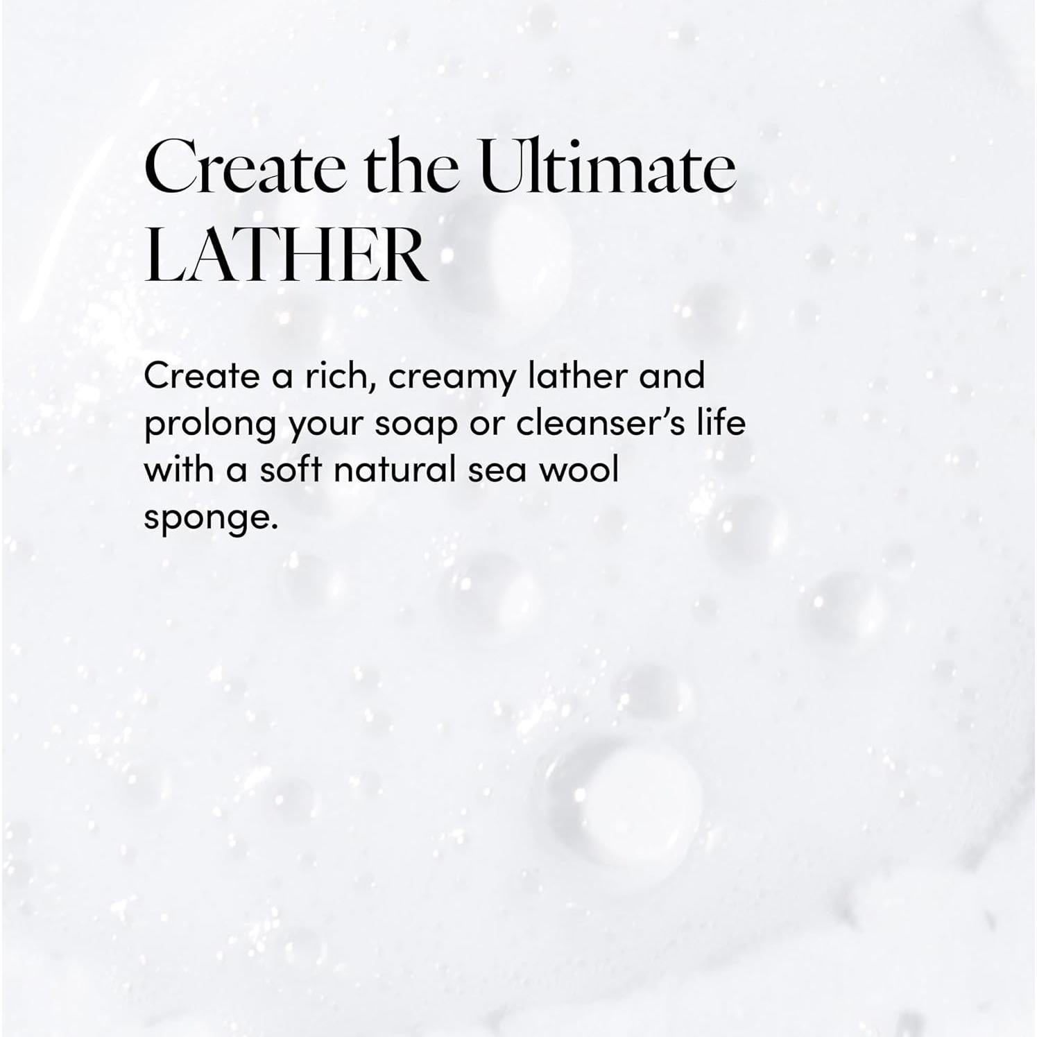 Esponja de Mar Natural LATHER 12.7-15.2 cm Exfoliante Hipoalergénica