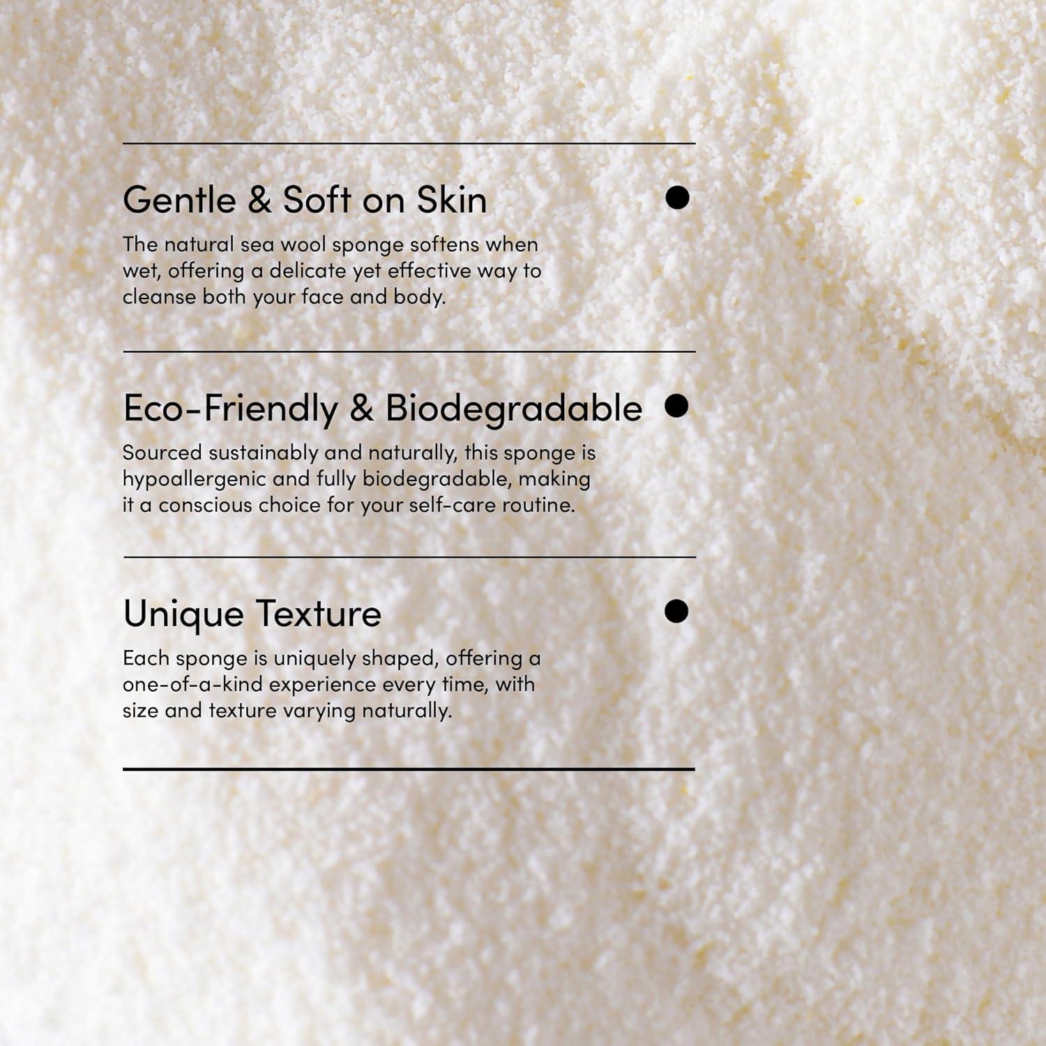 Esponja de Mar Natural LATHER 12.7-15.2 cm Exfoliante Hipoalergénica