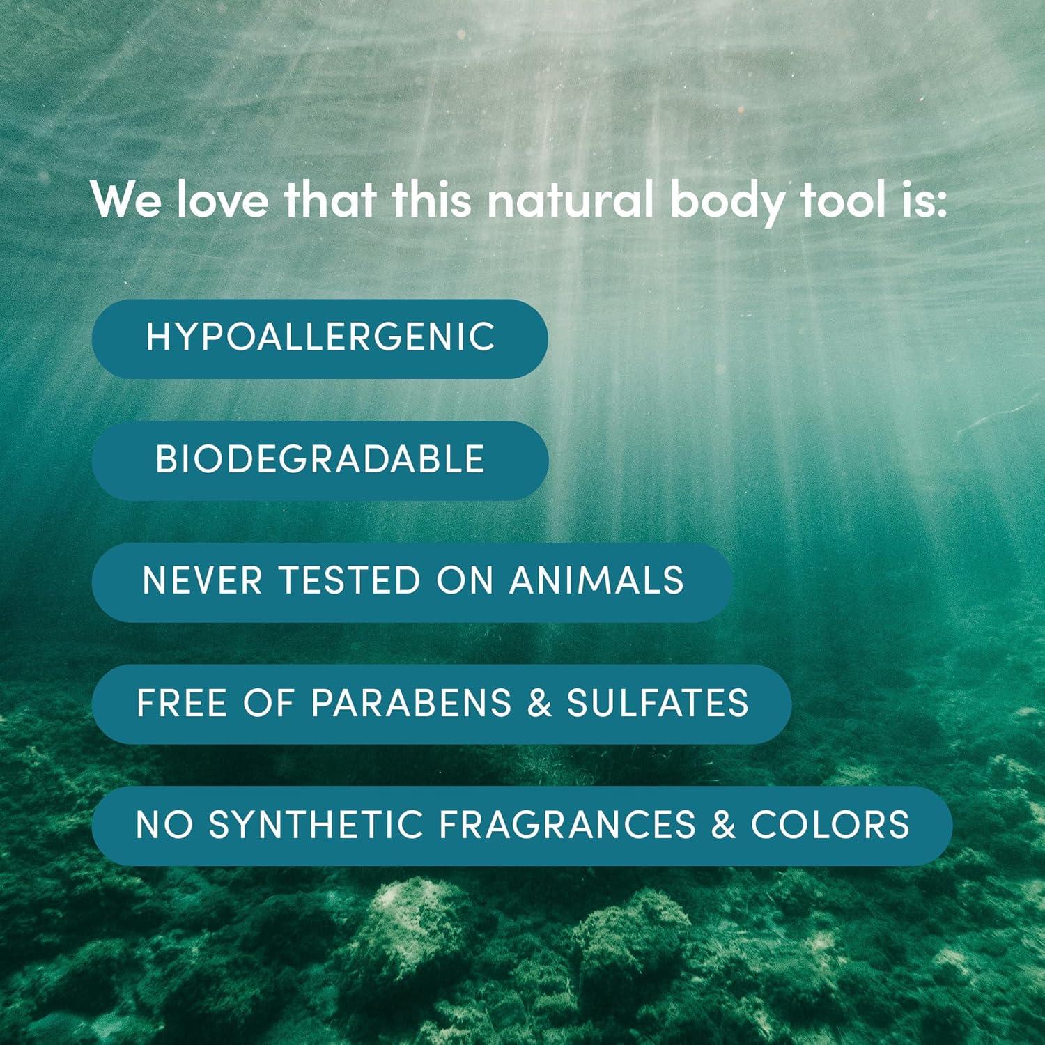 Esponja de Mar Natural LATHER 12.7-15.2 cm Exfoliante Hipoalergénica