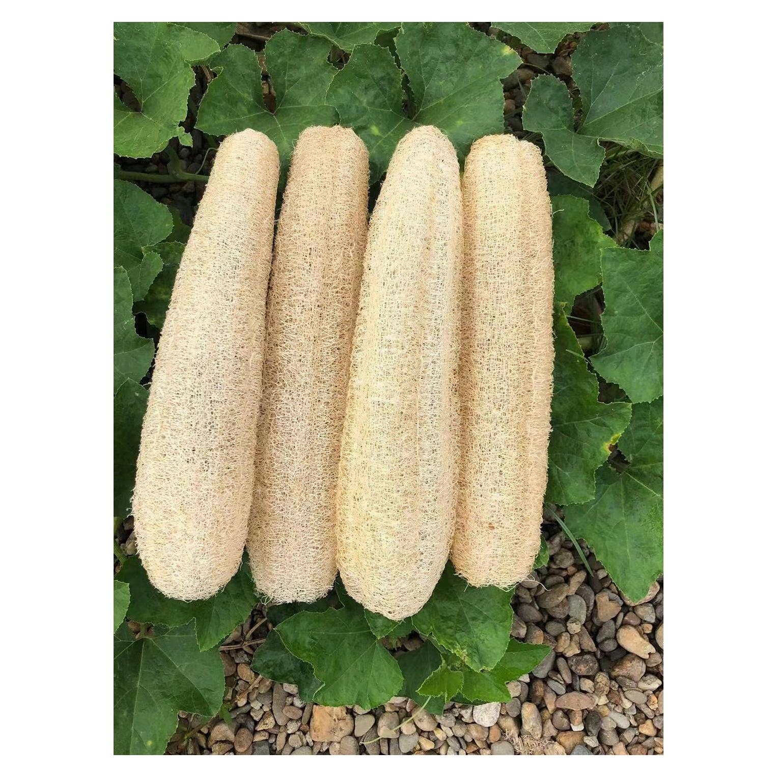 Esponjas de Lufa Natural Orgánica Exfoliantes 4 Piezas