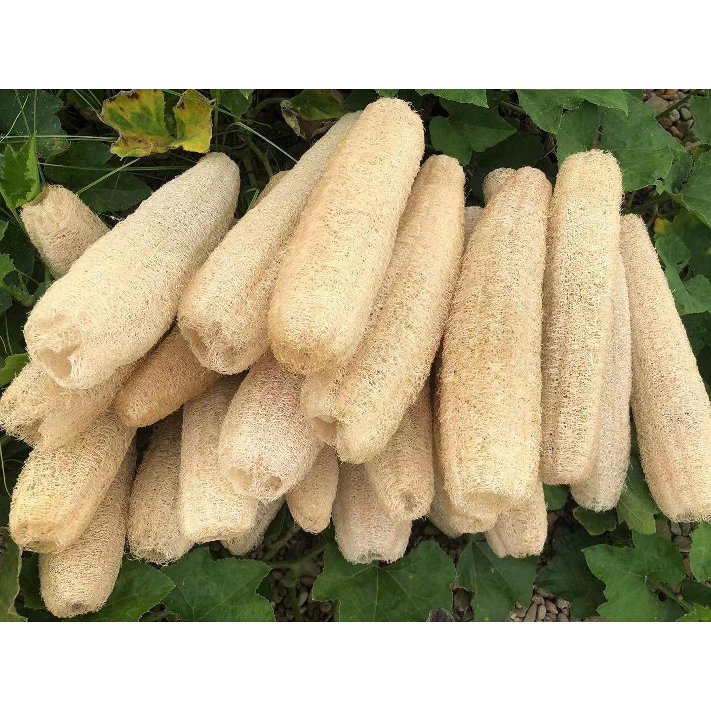 Esponjas de Lufa Natural Orgánica Exfoliantes 4 Piezas