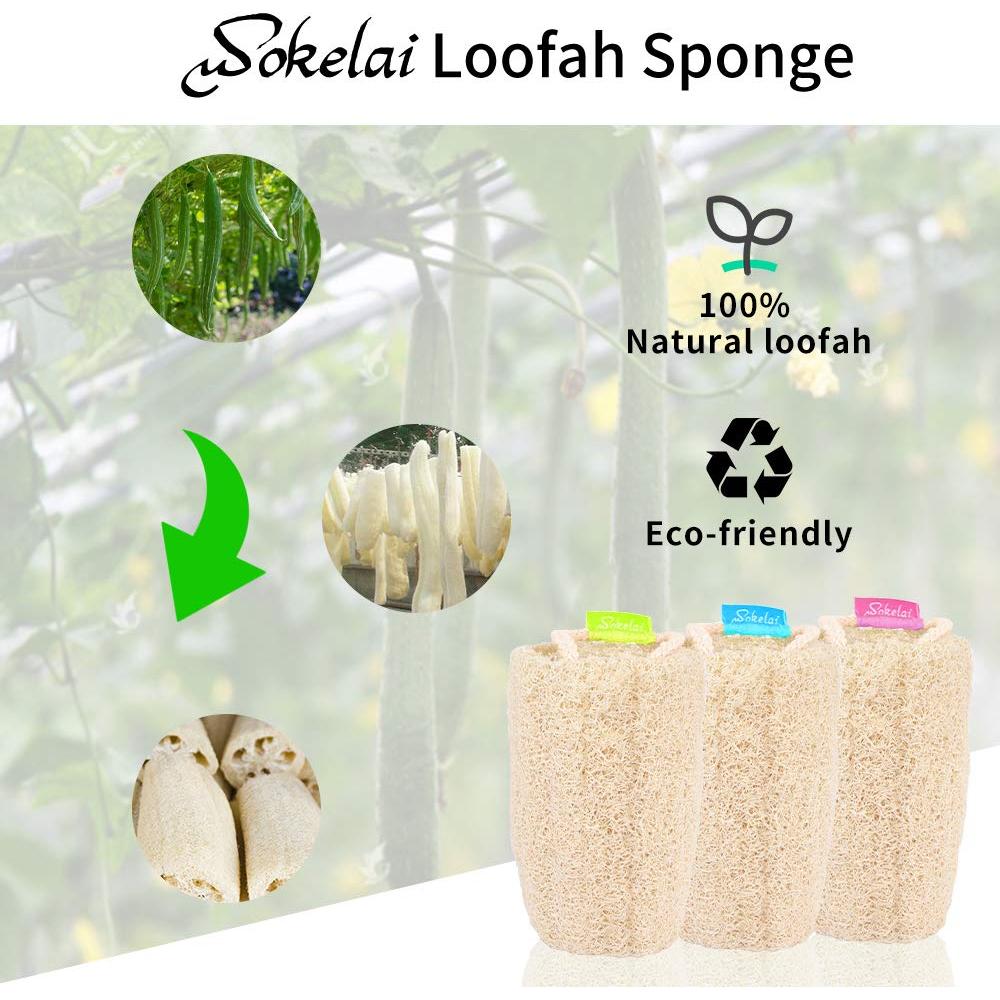 Esponjas de Lufa Natural Wokelai - Exfoliantes para Cuerpo 3 Unidades