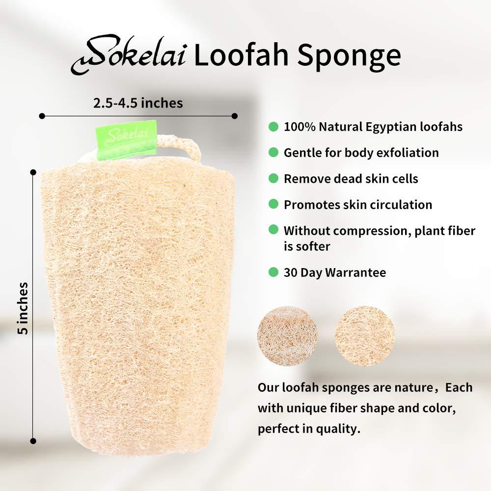 Esponjas de Lufa Natural Wokelai - Exfoliantes para Cuerpo 3 Unidades