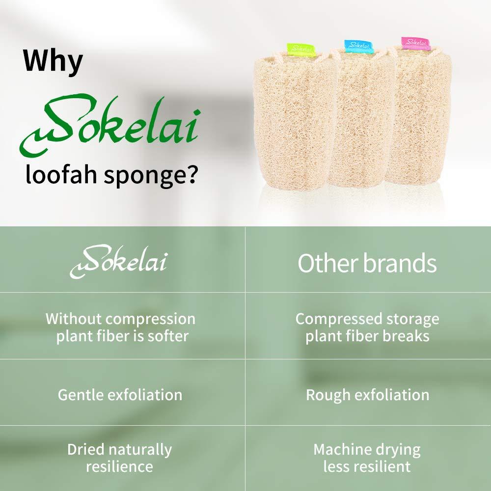 Esponjas de Lufa Natural Wokelai - Exfoliantes para Cuerpo 3 Unidades
