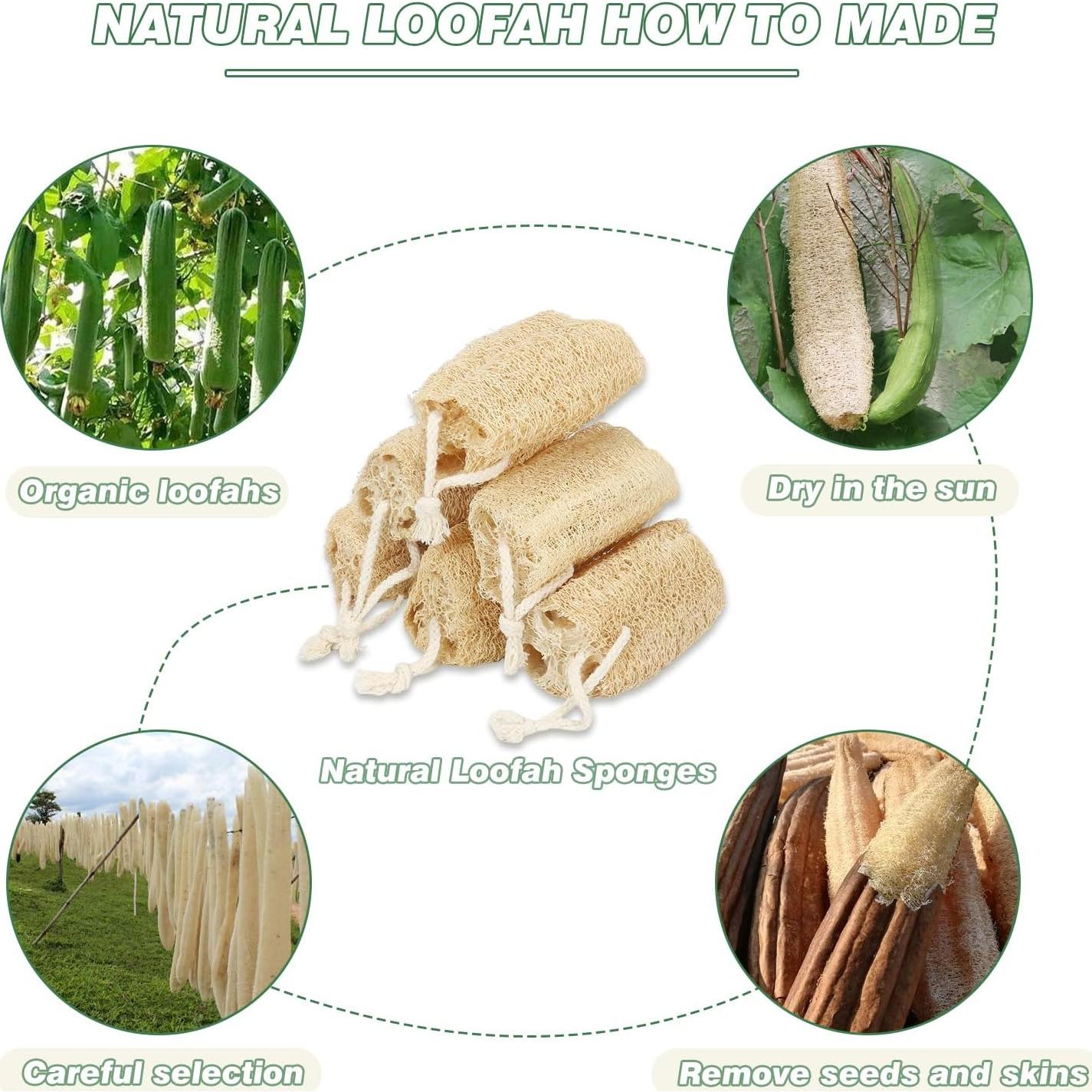 Esponja de Lufa Natural Orgánica Balifeel Set de 6 Piezas