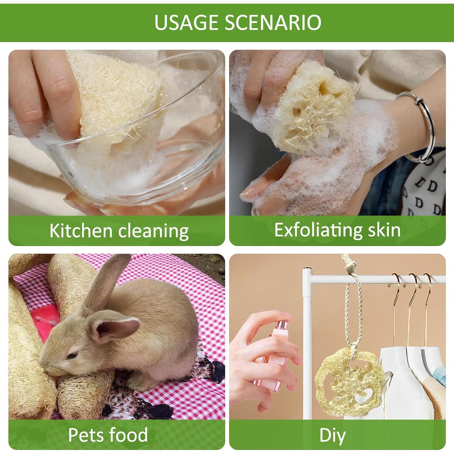 Esponjas de Lufa Natural FRTIM - Paquete de 6 Piezas Exfoliantes