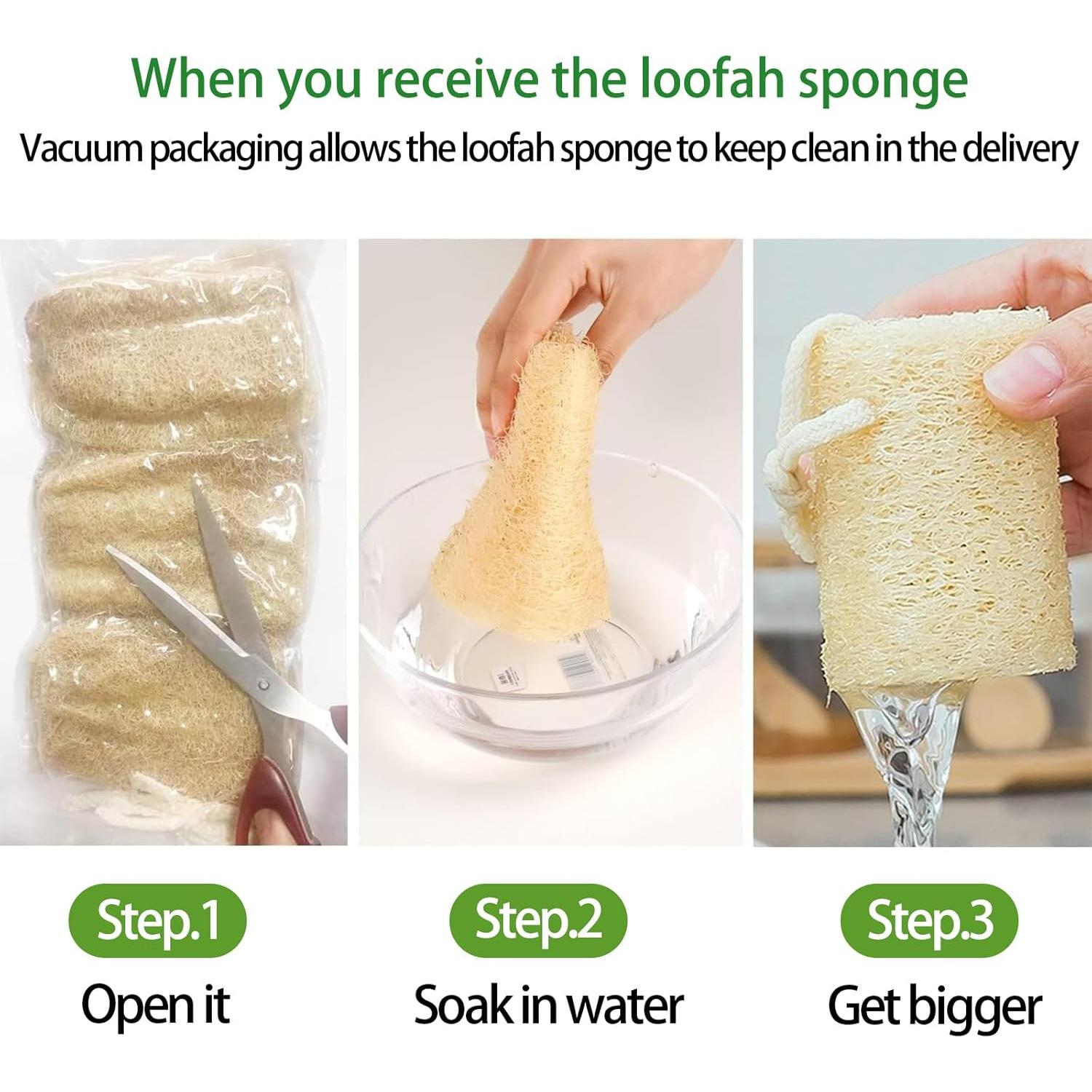 Esponjas de Lufa Natural FRTIM - Paquete de 6 Piezas Exfoliantes