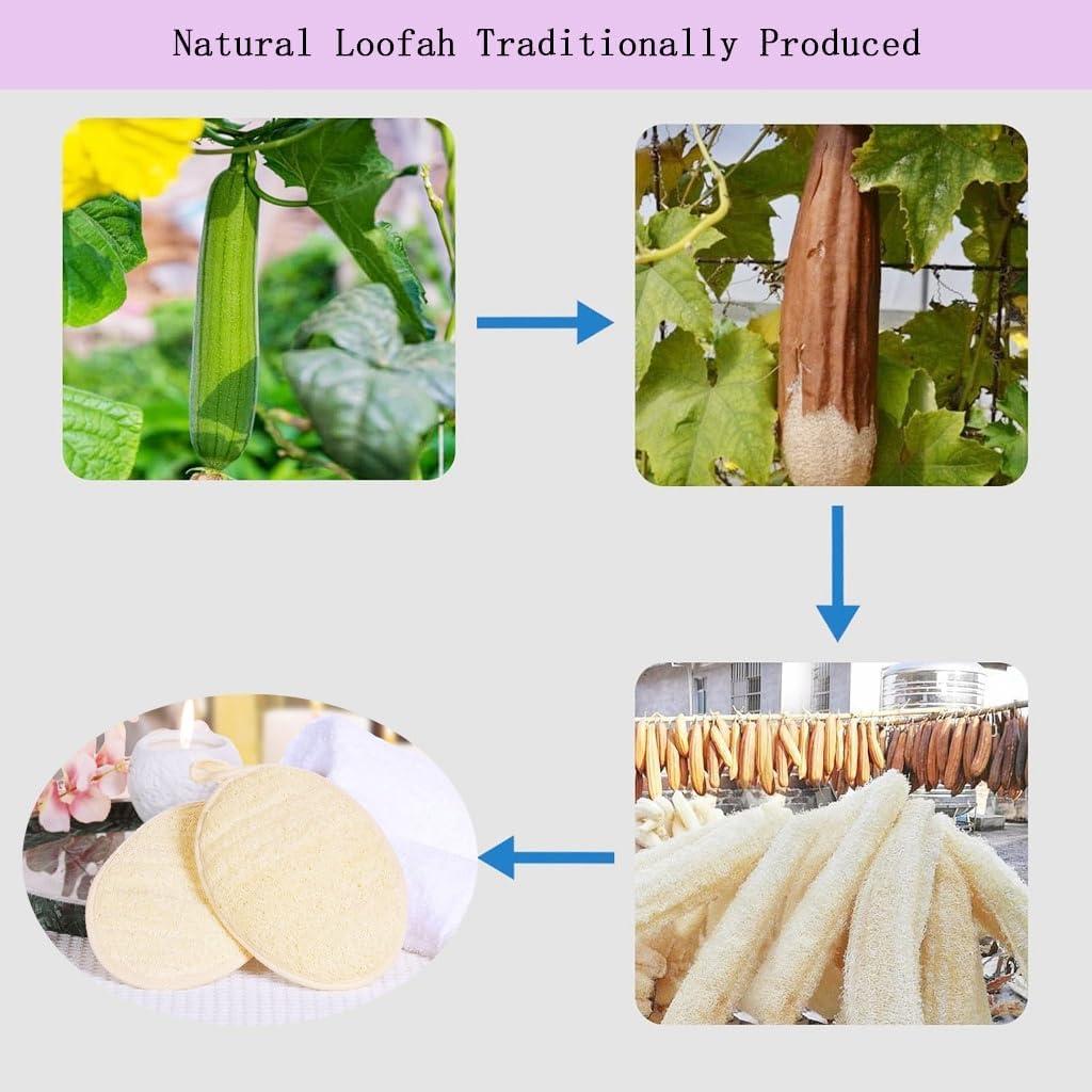 Esponja Exfoliante Natural de Lufa SHENGZHENFUSHI - 3 Piezas
