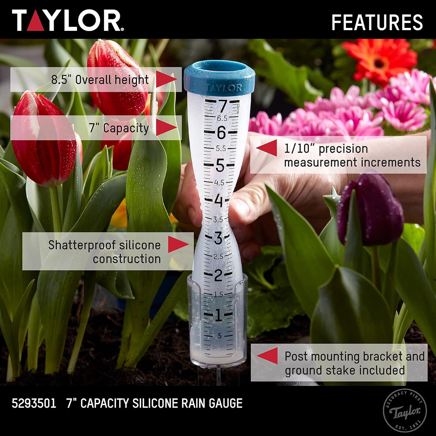 Medidor de Lluvia Taylor 7 Pulgadas Silicona Verde Azulado