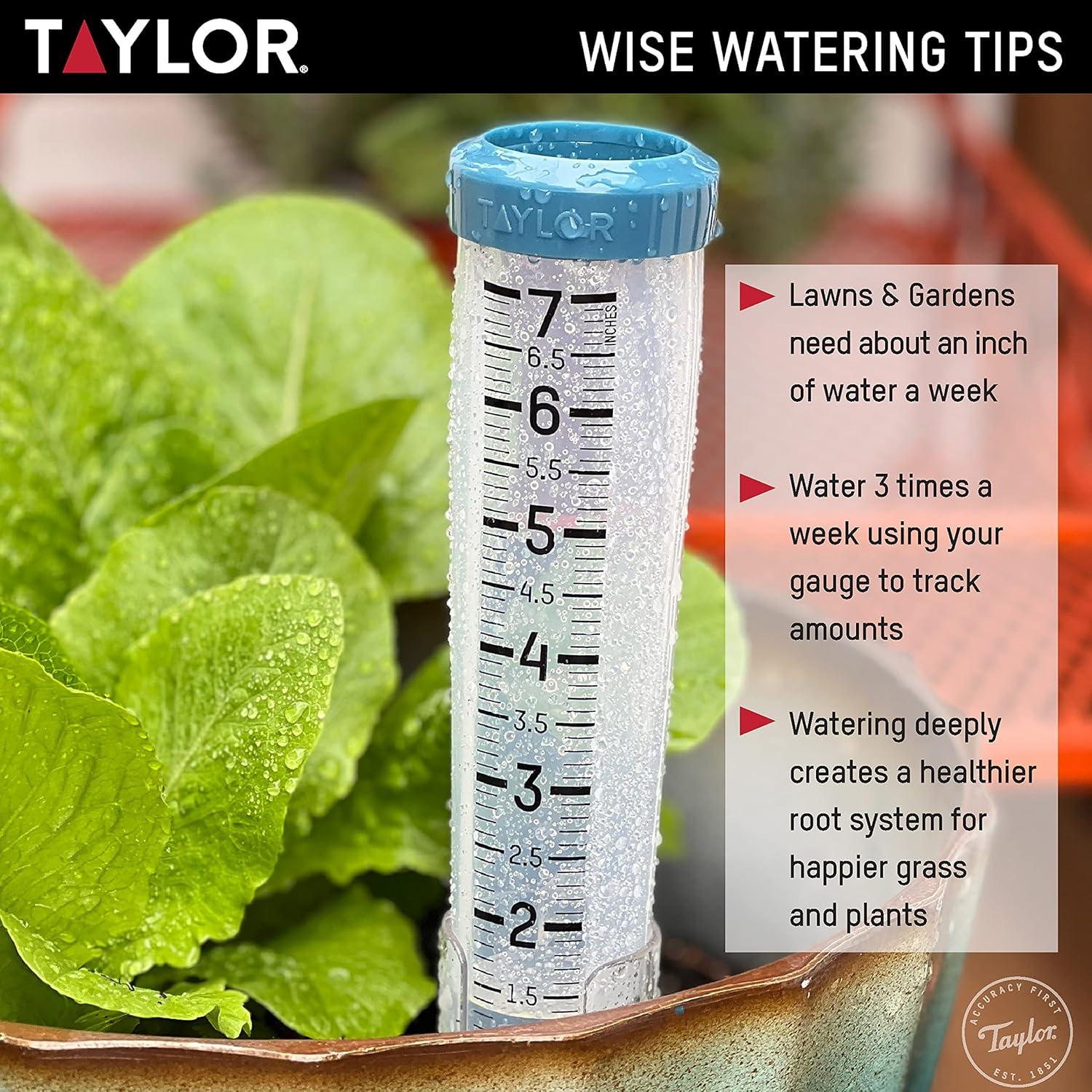 Medidor de Lluvia Taylor 7 Pulgadas Silicona Verde Azulado